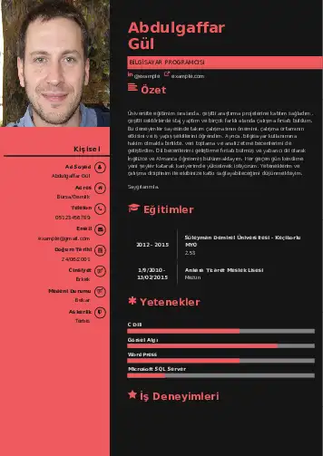 Bilgisayar Programcısı CV Örnekleri cv indir